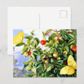 Bloemen, bloemen en vruchten van de Pitanga, Jamai Briefkaart (Voorkant / Achterkant)