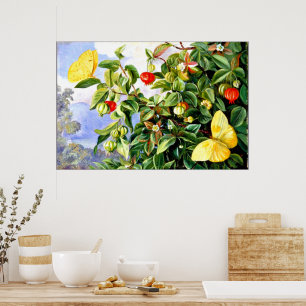 Bloemen, bloemen en vruchten van de Pitanga, Jamai Poster