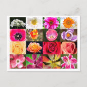 Bloemen, bloemen, overal Briefkaart (Voorkant)