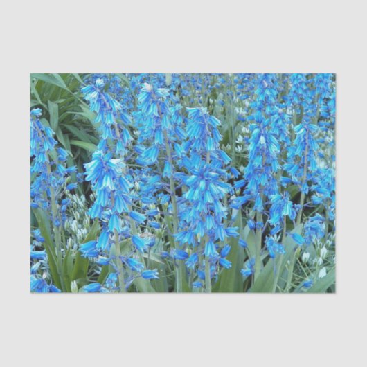  bloemen bloemen tissuepapier (Voorkant)