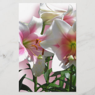 Bloemen Bloesems Spring Garden Love Shower Party Briefpapier