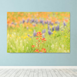 Bloemen Bluebonnet Foto van Texas Hill Country Canvas Afdruk