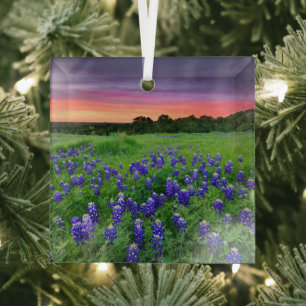 Bloemen Bluebonnets bij zonsondergang Texas Glas Ornament