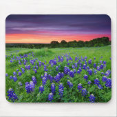 Bloemen | Bluebonnets bij zonsondergang Texas Muismat (Voorkant)