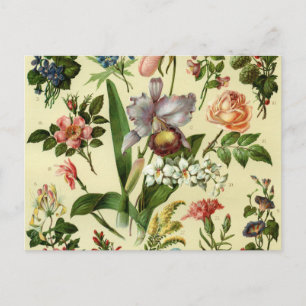 Bloemen Botanicals Briefkaart