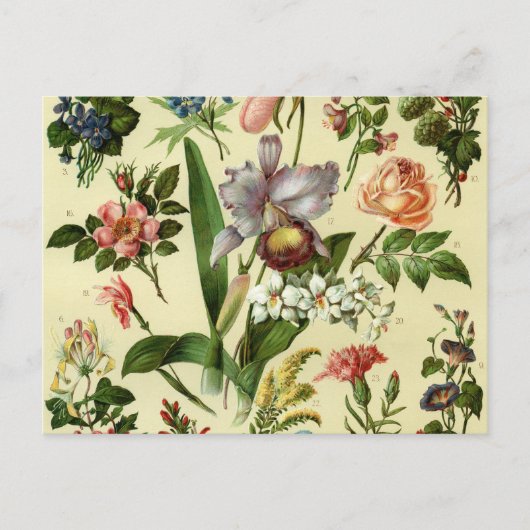 Bloemen Botanicals Briefkaart (Voorkant)