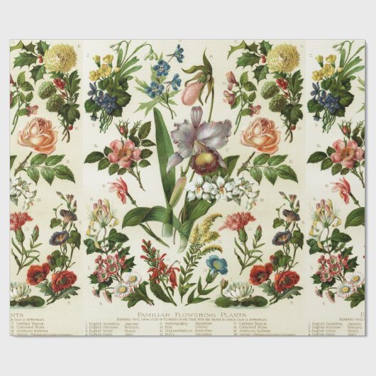 Bloemen Botanicals Cadeaupapier (Vlak)