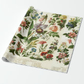 Bloemen Botanicals Cadeaupapier (Uitgerold)