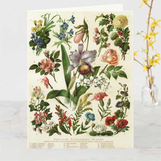 Bloemen Botanicals Kaart (Gele Bloem)