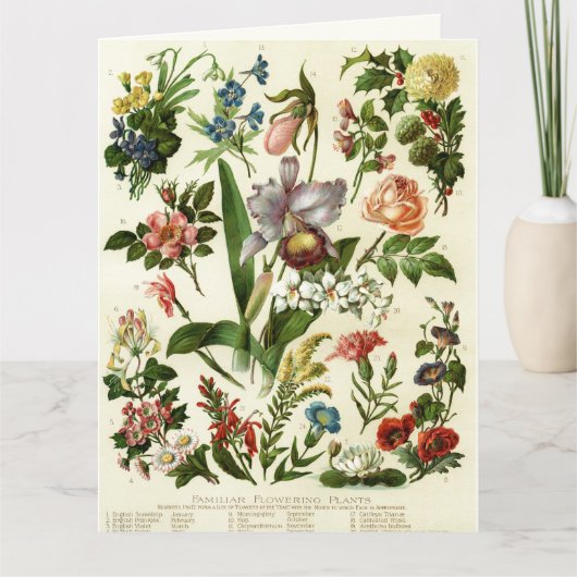 Bloemen Botanicals Kaart (Voorkant)
