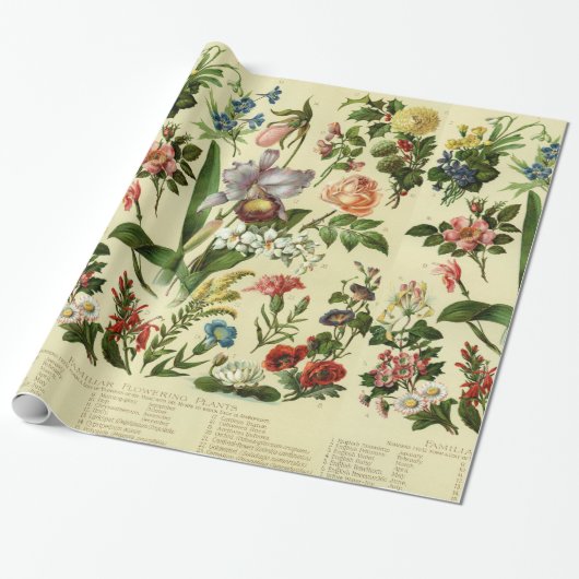  Bloemen Botanische producten Cadeaupapier (Uitgerold)