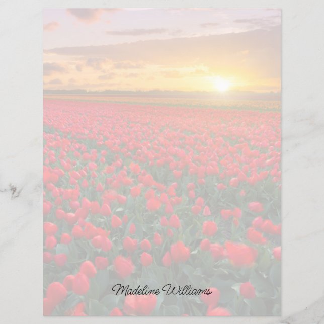 Bloemen | Botanische tuin Holland (Voorkant)