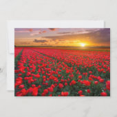 Bloemen | Botanische tuin Holland Bedankkaart (Voorkant)