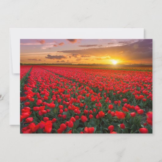 Bloemen | Botanische tuin Holland Bedankkaart (Voorkant)