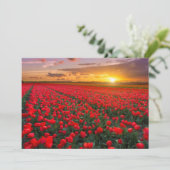 Bloemen | Botanische tuin Holland Bedankkaart (Staand voorkant)