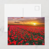 Bloemen | Botanische tuin Holland Briefkaart (Voorkant / Achterkant)