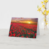 Bloemen | Botanische tuin Holland Kaart (Gele Bloem)