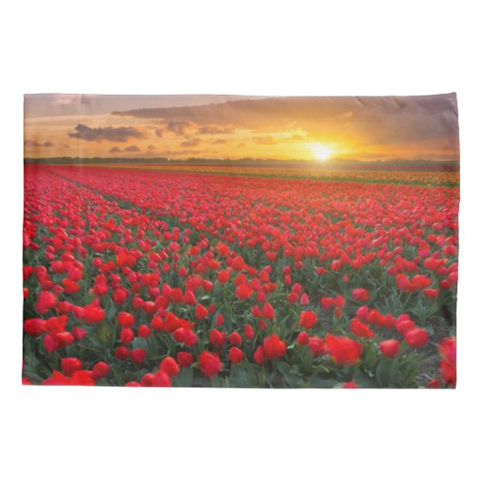 Bloemen | Botanische tuin Holland Kussensloop (Achterkant)