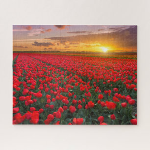 Bloemen   Botanische tuin Holland Legpuzzel
