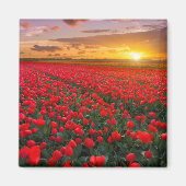 Bloemen | Botanische tuin Holland Magneet (Voorkant)