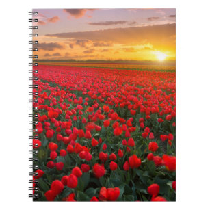 Bloemen   Botanische tuin Holland Notitieboek