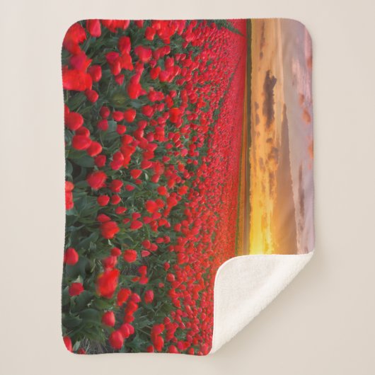 Bloemen | Botanische tuin Holland Sherpa Deken (Voorkant)