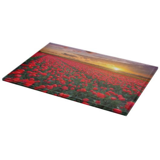 Bloemen | Botanische tuin Holland Snijplank (Hoek)