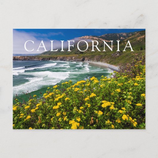 Bloemen boven Sand Dollar Beach Briefkaart (Voorkant)
