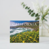 Bloemen boven Sand Dollar Beach Briefkaart (Staand voorkant)