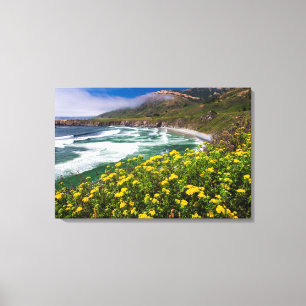 Bloemen boven Sand Dollar Beach Canvas Afdruk