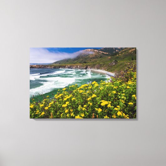 Bloemen boven Sand Dollar Beach Canvas Afdruk (Voorkant)