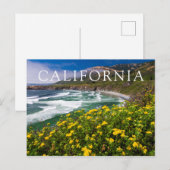 Bloemen boven zand dollair strand briefkaart (Voorkant / Achterkant)