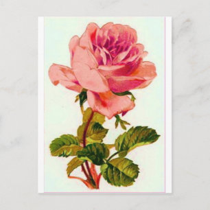 Bloemen Briefkaart