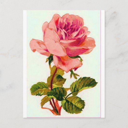 Bloemen Briefkaart (Voorkant)