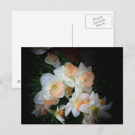 bloemen briefkaart (Voorkant / Achterkant)