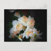 bloemen briefkaart (Voorkant)