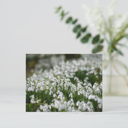 Bloemen Briefkaart (Staand voorkant)