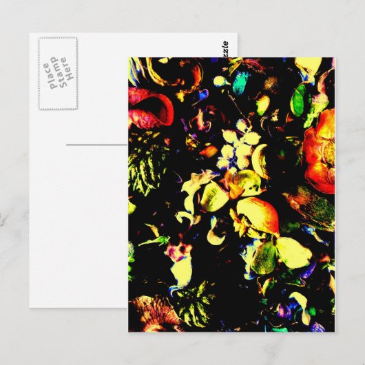  bloemen briefkaart (Voorkant / Achterkant)