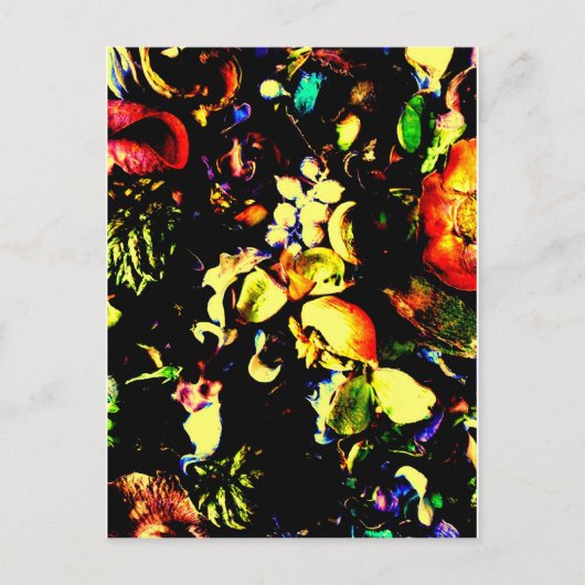  bloemen briefkaart (Voorkant)