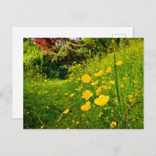 Bloemen Briefkaart (Voorkant / Achterkant)