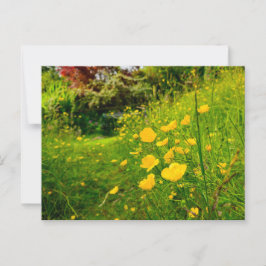 Bloemen Briefkaart