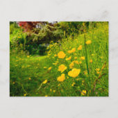 Bloemen Briefkaart (Voorkant)