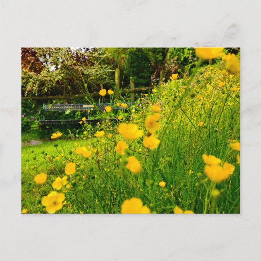 Bloemen Briefkaart (Voorkant)