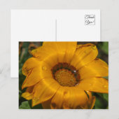 Bloemen Briefkaart (Voorkant / Achterkant)