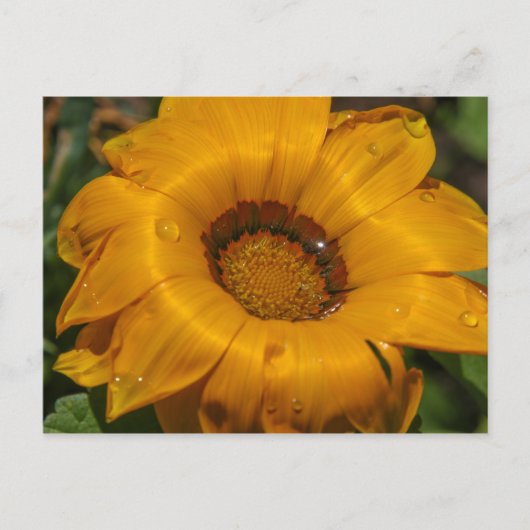 Bloemen Briefkaart (Voorkant)
