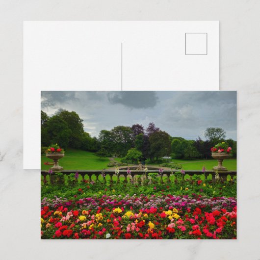 Bloemen Briefkaart (Voorkant / Achterkant)