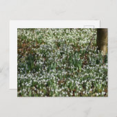 Bloemen Briefkaart (Voorkant / Achterkant)