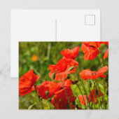 Bloemen Briefkaart (Voorkant / Achterkant)