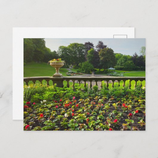 Bloemen Briefkaart (Voorkant / Achterkant)