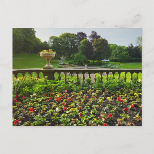 Bloemen Briefkaart (Voorkant)